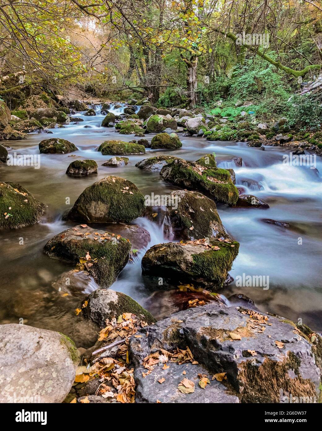 Long exposure smooth flowing water over rocks in forest Stock Photo