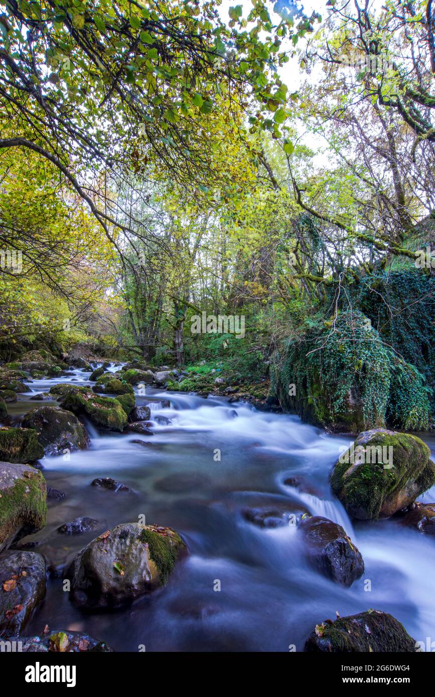 Long exposure smooth flowing water over rocks in forest Stock Photo