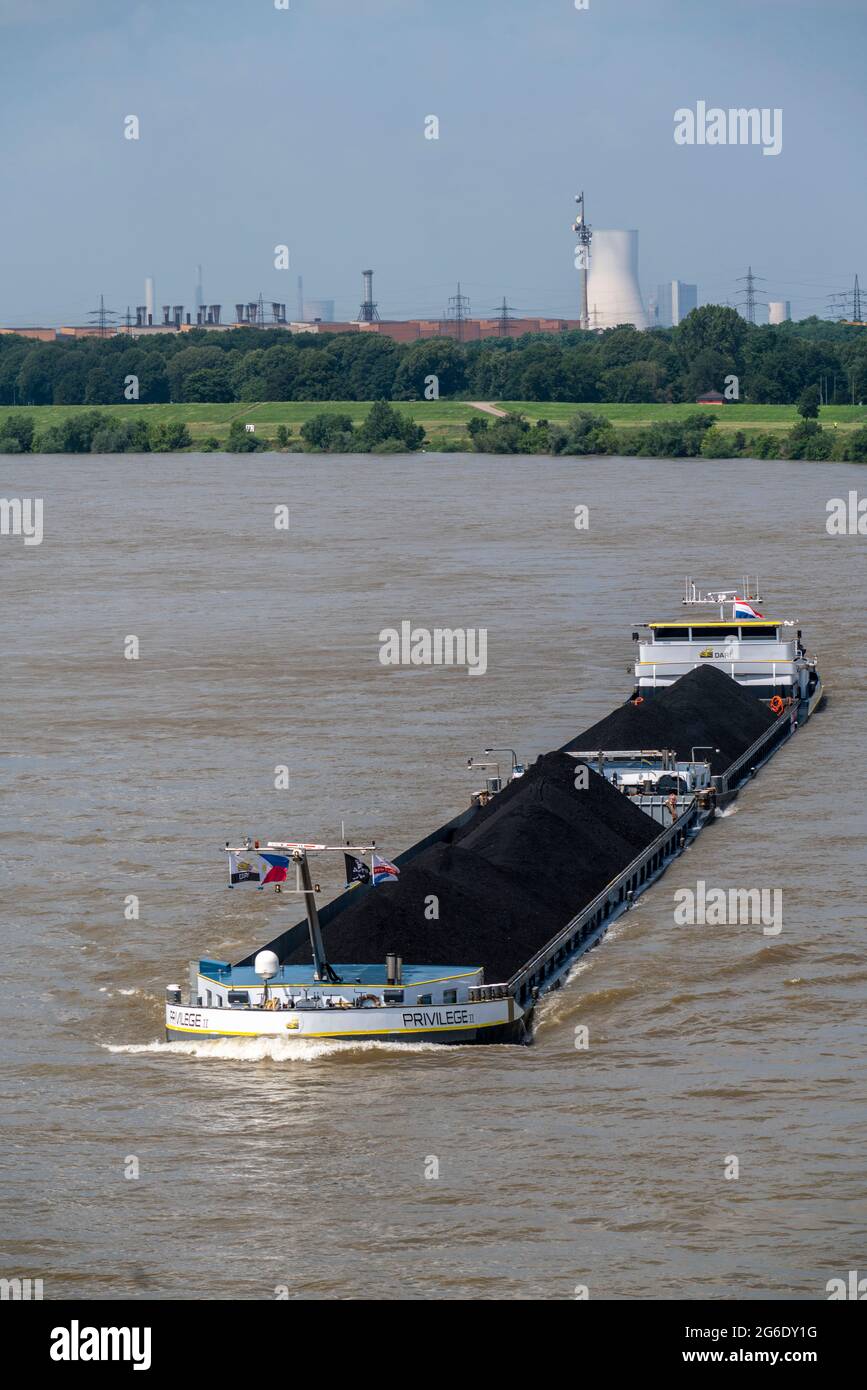 Inland navigation, Dutch cargo ship Privilege brings imported coal, power station coal, from Rotterdam to southern Germany, here on the Rhine at the p Stock Photo