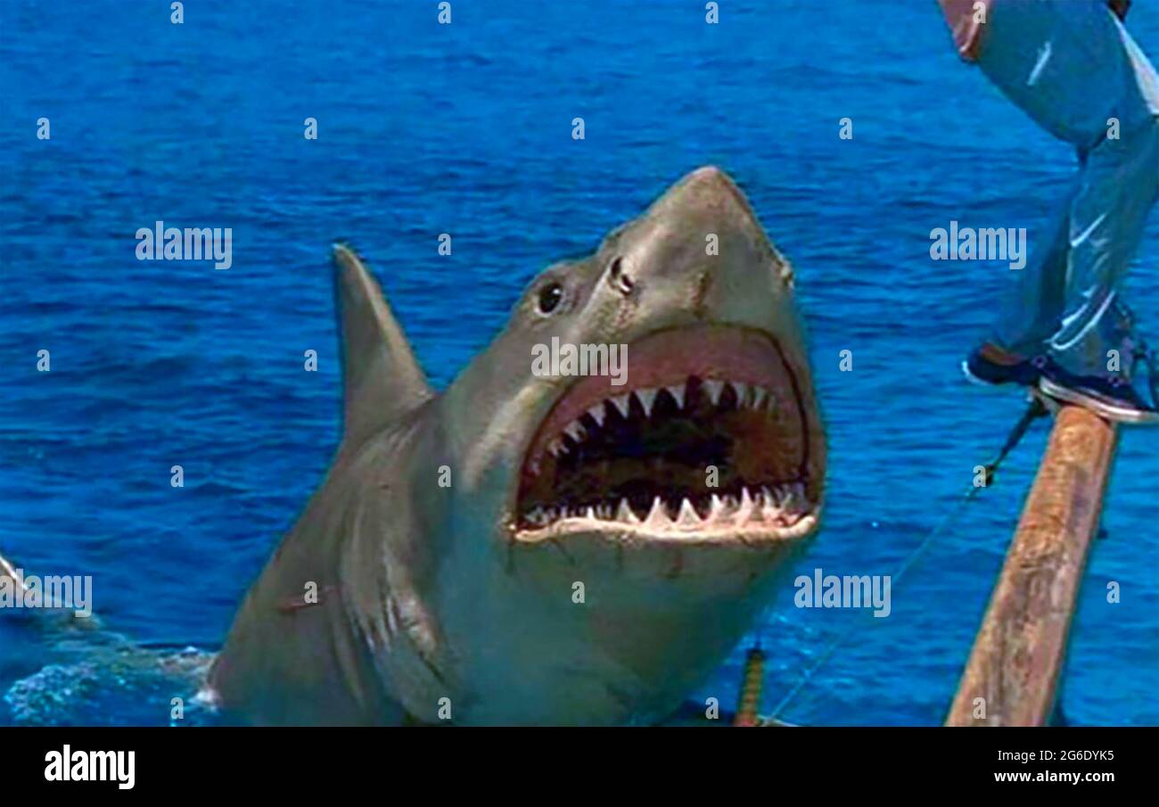 JAWS: THE REVENGE 1987 Universal Pictures film Stock Photo