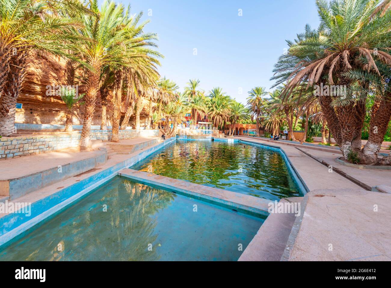 Swimming pool with palm trees, Oasis Source Bleu, Blue Spring, Madkhal Meski, Morocco Stock Photo