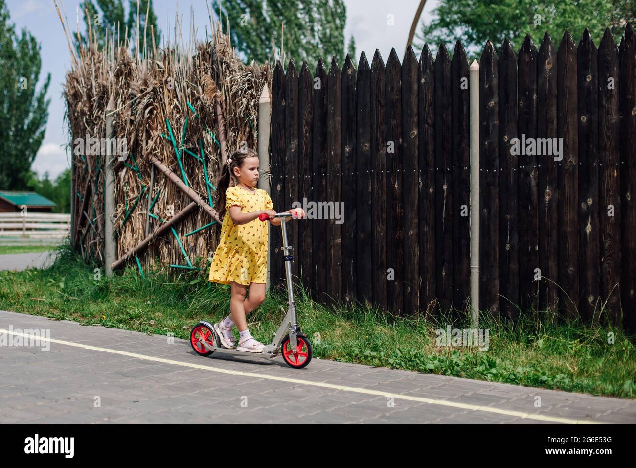 a walk on a scooter of a girl in a yellow dress past a wooden or reed fence on a summer day Stock Photo