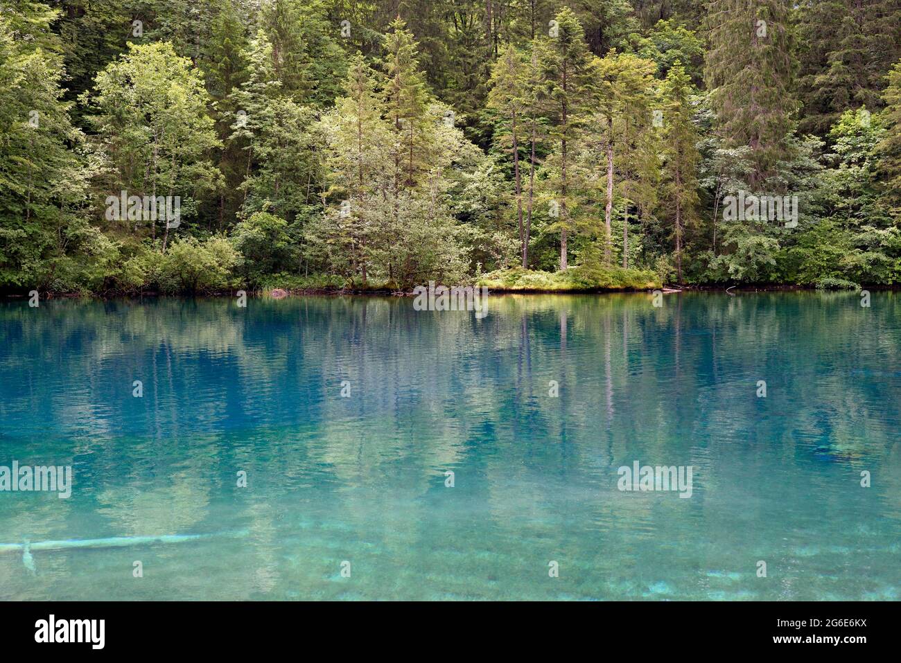 Mountain lake, Christlessee with clear turquoise water, tree trunks at the bottom of the lake, Trettachtal, Allgaeu Alps, Allgaeu, Bavaria, Germany Stock Photo