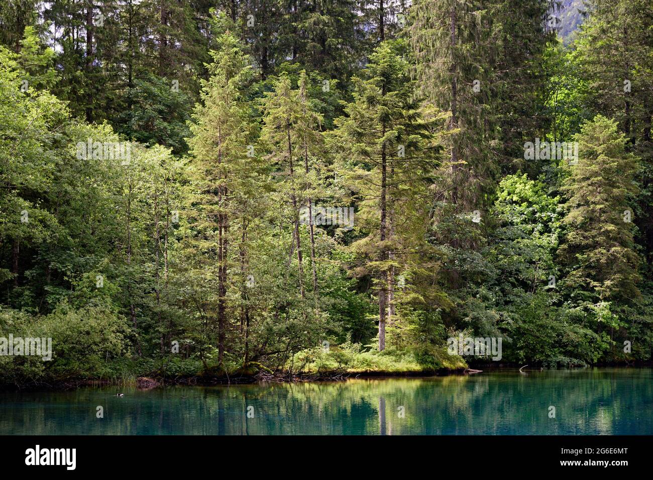 Mountain lake, Christlessee with clear turquoise water, Trettachtal, Allgaeu Alps, Allgaeu, Bavaria, Germany Stock Photo