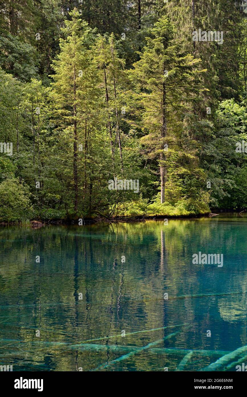 Mountain lake, Christlessee with clear turquoise water, tree trunks at the bottom of the lake, Trettachtal, Allgaeu Alps, Allgaeu, Bavaria, Germany Stock Photo