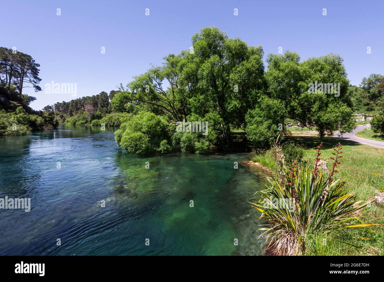 Landscape, Waikato River, Waikato, North Island, New Zealand Stock Photo