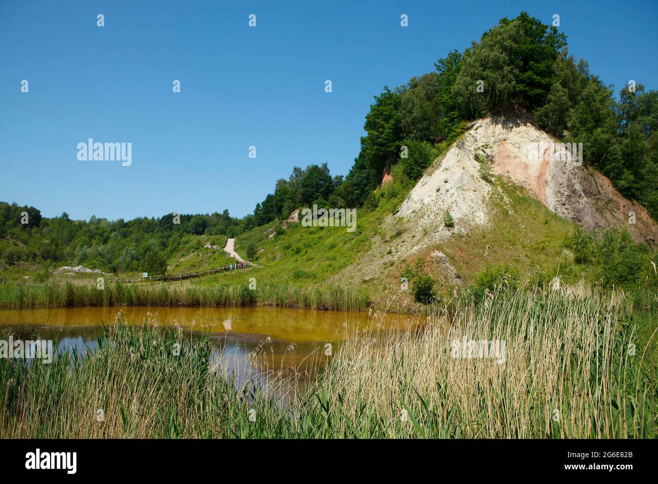 Liether Kalkgrube nature reserve, Pinneberg district, Schleswig-Holstein, Germany Stock Photo