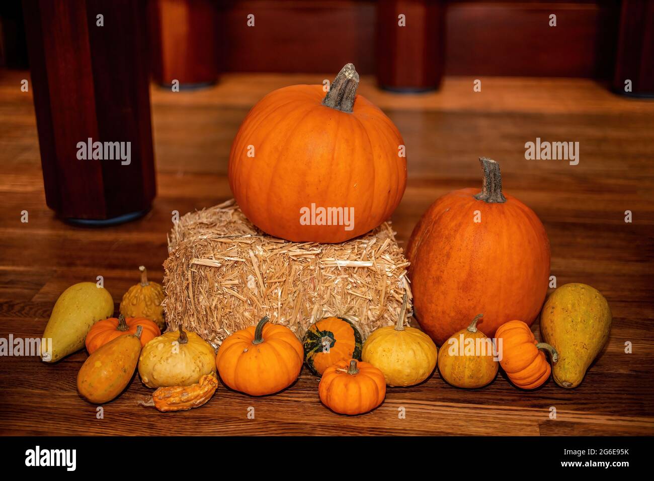 Pumpkin and gourds decoration for a fall display of a bountiful harvest. Stock Photo