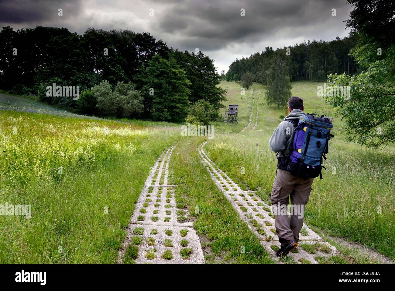 Man with backpack, hiker on Kolonnenweg, hiking trail through meadow and forest, Lochplattenweg, Gruenes Band, border trail, former German-German Stock Photo