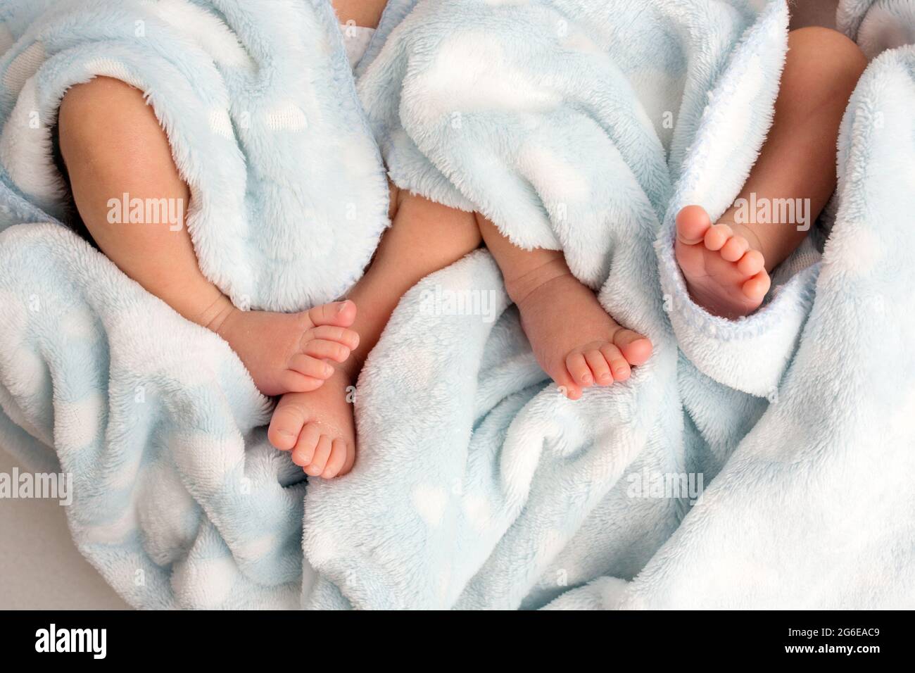 Photo of the legs of a newborn. Baby feet covered with wool isolated