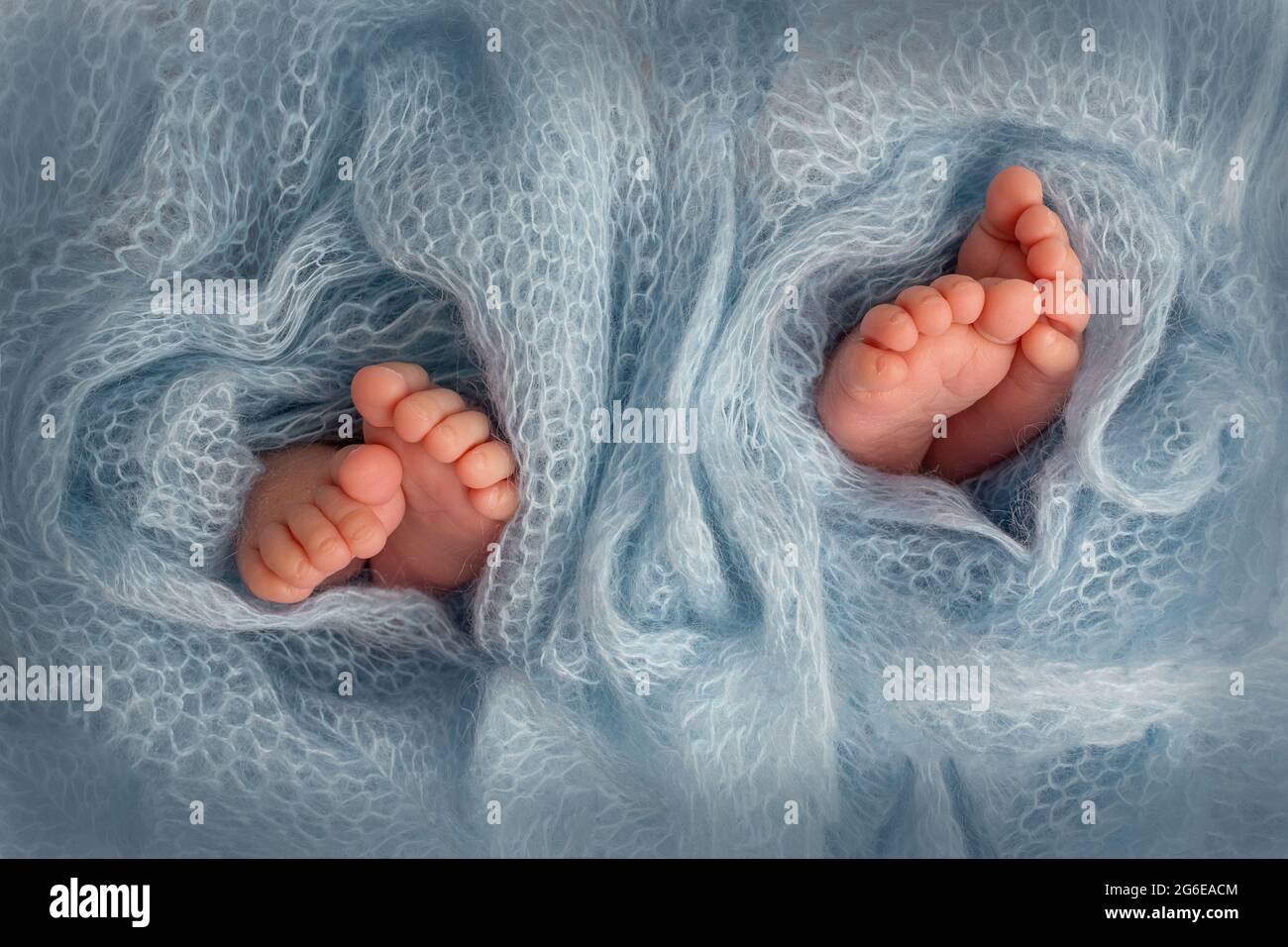 Photo of the legs of a newborn. Baby feet covered with wool isolated