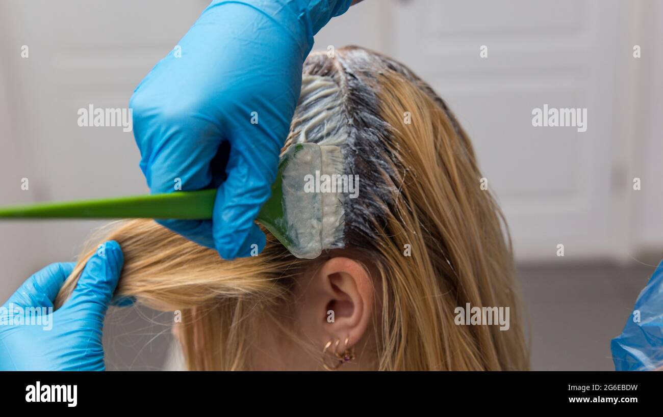 A hairdresser applies paint with a brush to a woman's hair in a beauty salon.. Hair colouring in