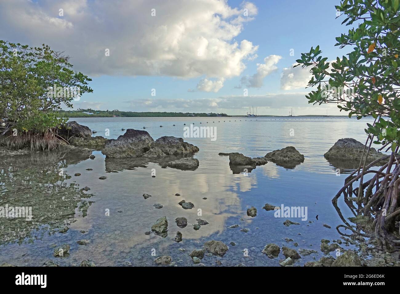 John pennekamp coral reef state park hires stock photography and