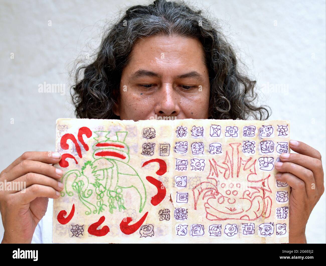 Mexican graphic artist and researcher of the ancient Maya writing system holds up a hand-crafted and hand-painted leporello about the Maya glyphs. Stock Photo