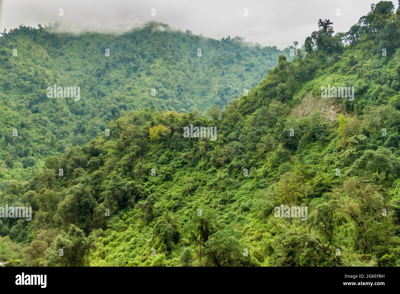 Mountains covered with a lush forest near San Miguel de Tucuman, Argentina Stock Photo