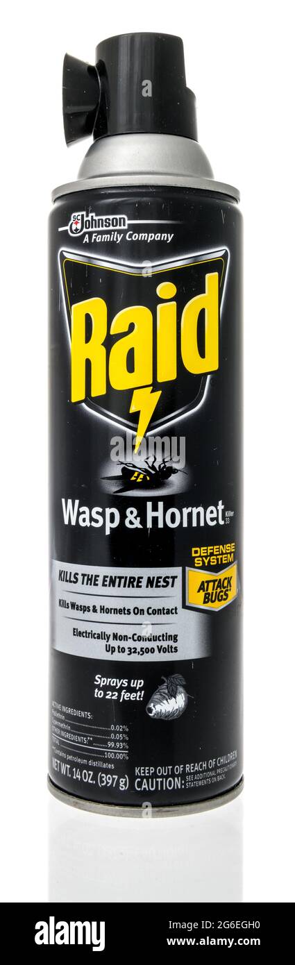 Raid wasp and hornet killer deals