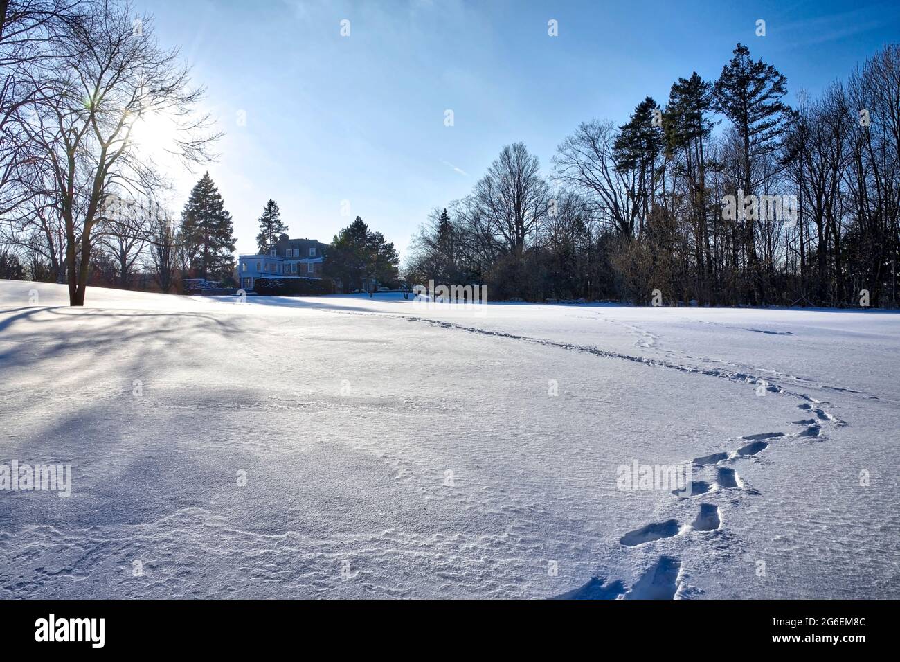 The footprint on the snow covering park in the winter Stock Photo