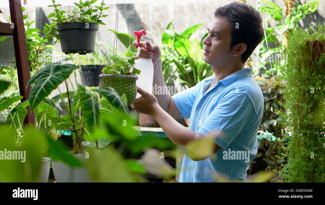 Young man Gardening at Home Stock Photo
