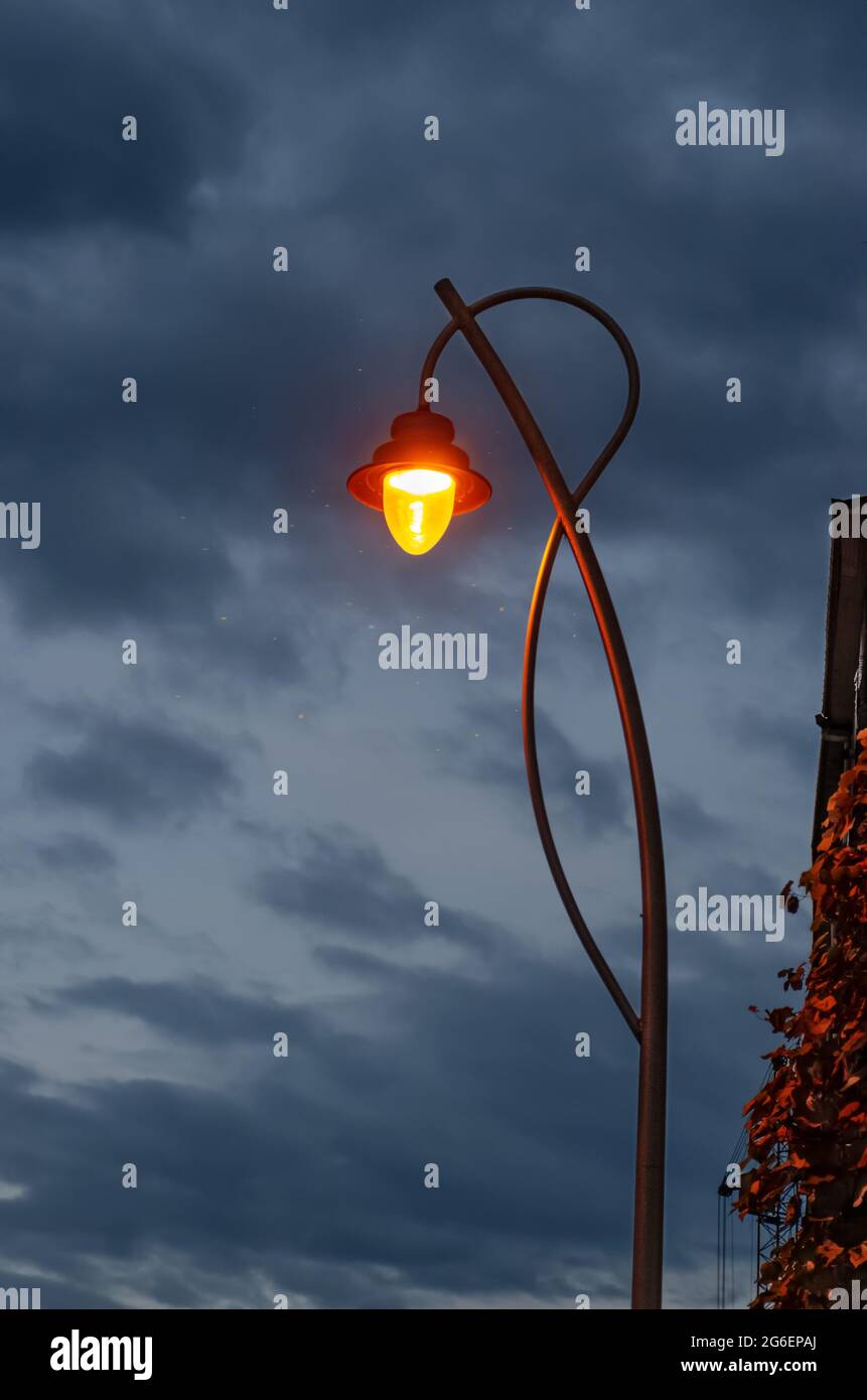 Street lantern shines with warm light against evening cloudy sky background. Midges fly in the light glow Stock Photo