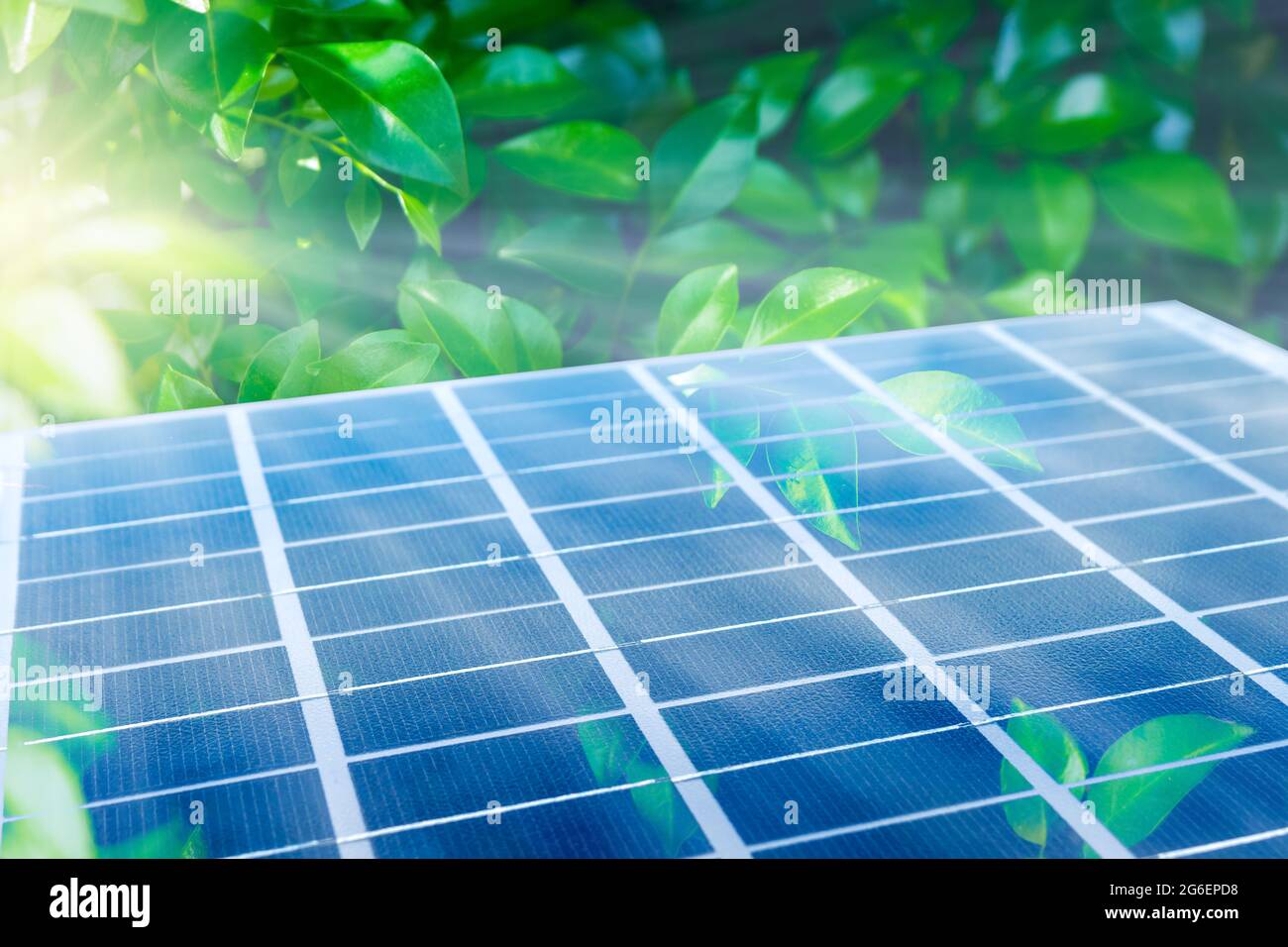 Solar panel among green leaves. Photovoltaic module as integrated into the ecosystem. Alternative Clean Green Energy concept. Stock Photo
