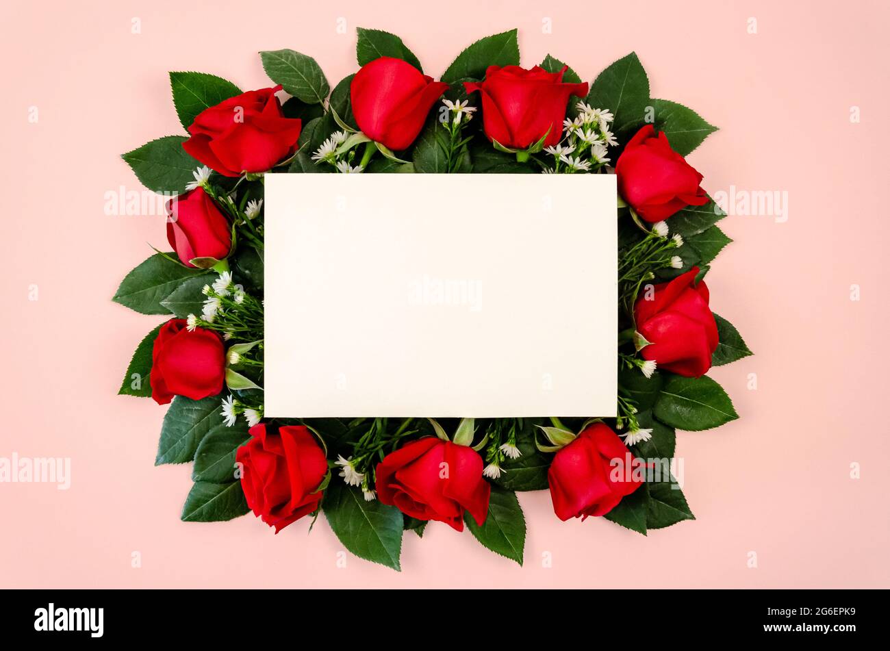 Red roses bouquet with blank white paper card on pastel pink background ...