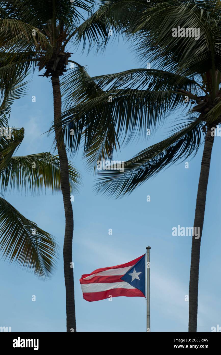 The Puerto Rico Flag flying between palm trees on Isla Verde beach in San Juan, Puerto Rico. Stock Photo