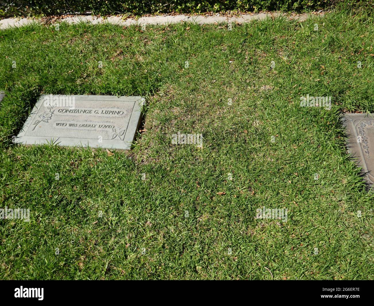 Glendale, California, USA 1st July 2021 A general view of atmosphere of Actress Constance Lupino's Grave and possible Ida Lupino Unmarked Grave at Forest Lawn Memorial Park on July 1, 2021 in Glendale, California, USA. Photo by Barry King/Alamy Stock Photo Stock Photo