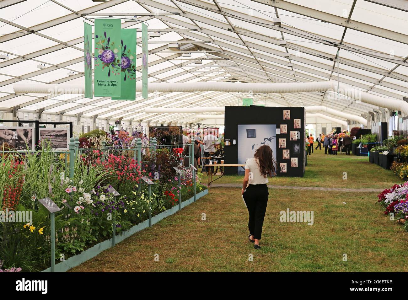 Hardy's Cottage Garden Plants, Floral Marquee, RHS Hampton Court Palace Garden Festival 2021, Preview Day, 5 July 2021, London, England, UK Stock Photo