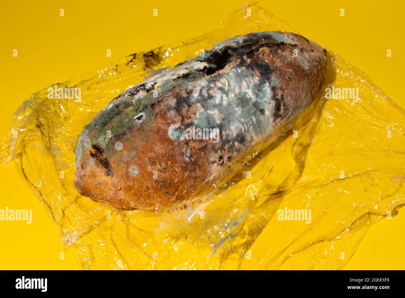 Green moldy bread on plastic wrap. Food waste and overconsumption concept. Minimalist style. Stock Photo