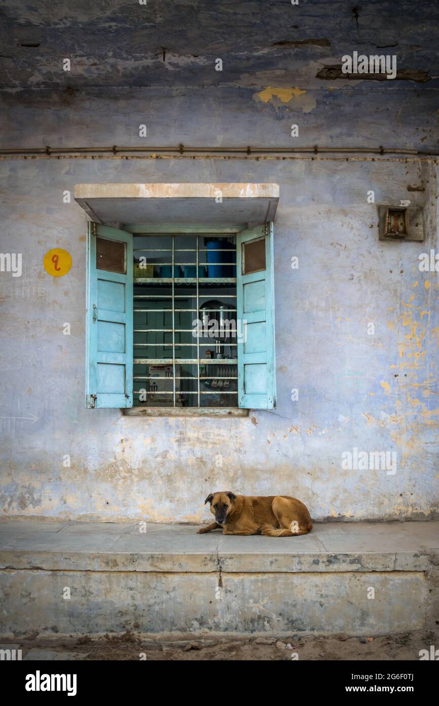 A dog sitting outside a home in the heritage city of Ahmedabad in India Stock Photo
