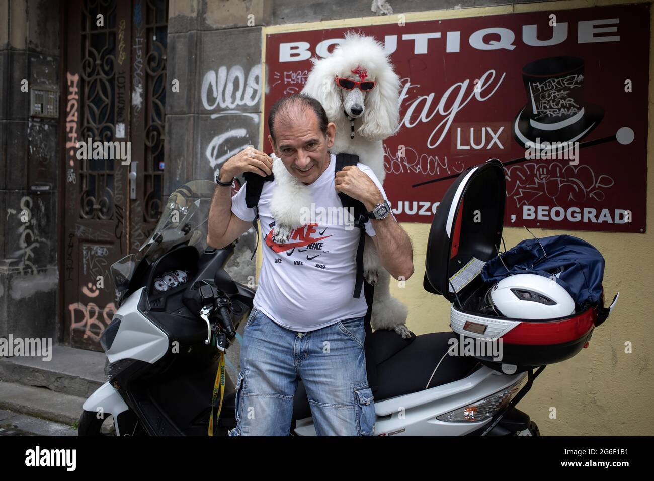 Belgrade, Serbia, July 3, 2021: Zaza the Royal Poodle and her owner dismounting a motorcycle after ride Stock Photo