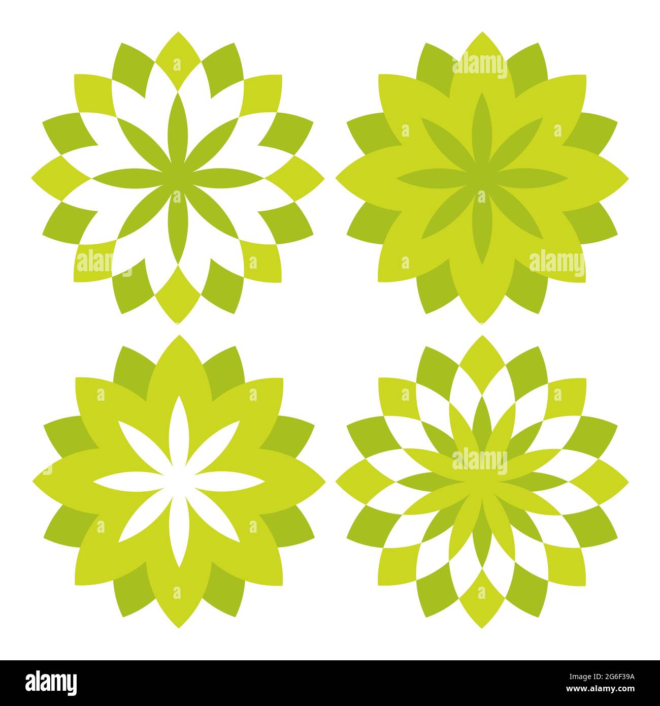 flower petals shape design. beautiful flower petals vector illustration