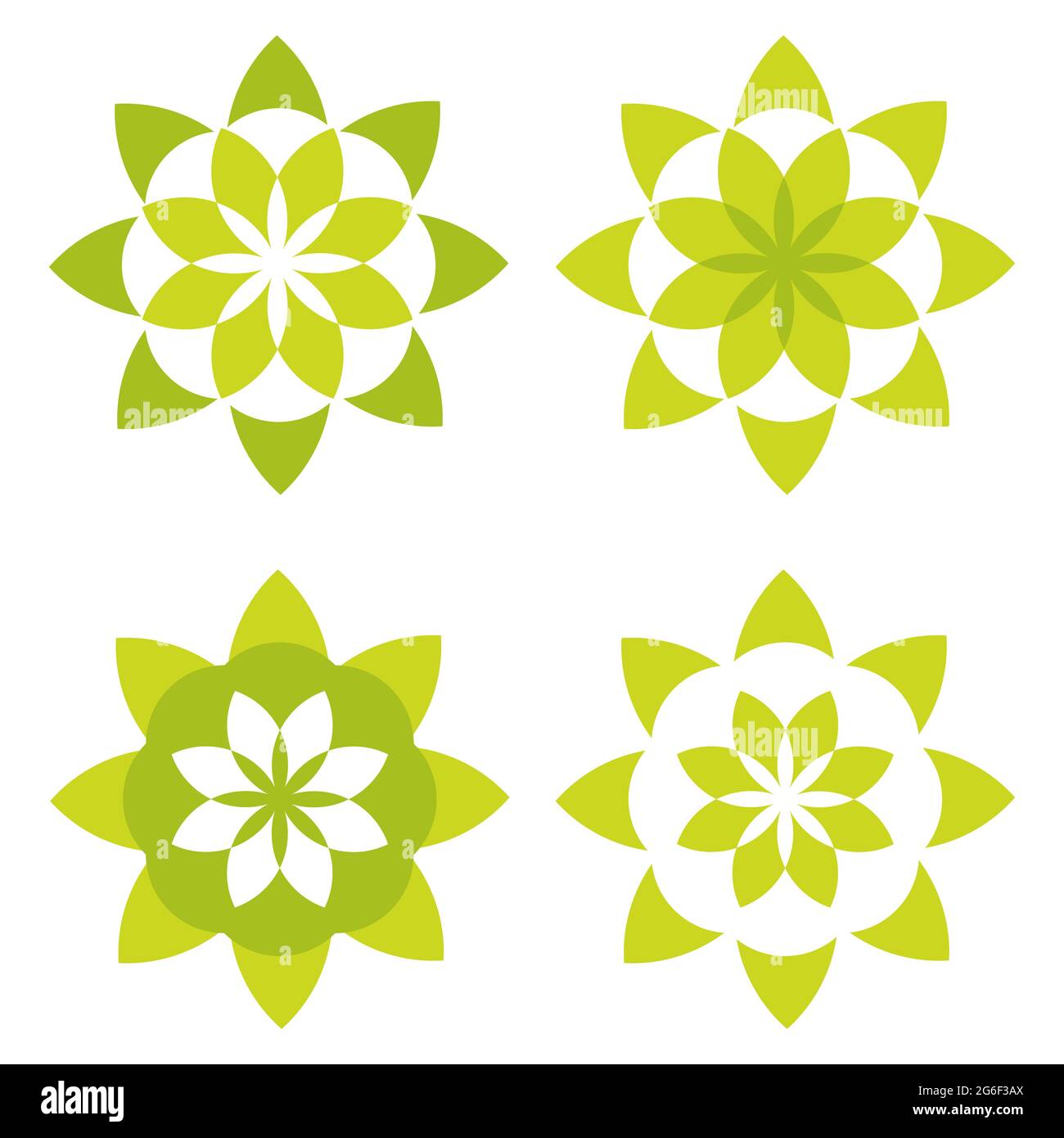flower petals shape design. beautiful flower petals vector illustration