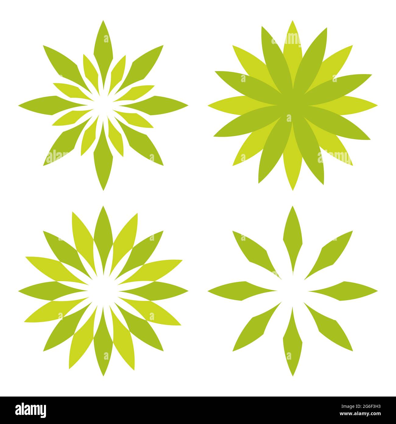 flower petals shape design. beautiful flower petals vector illustration
