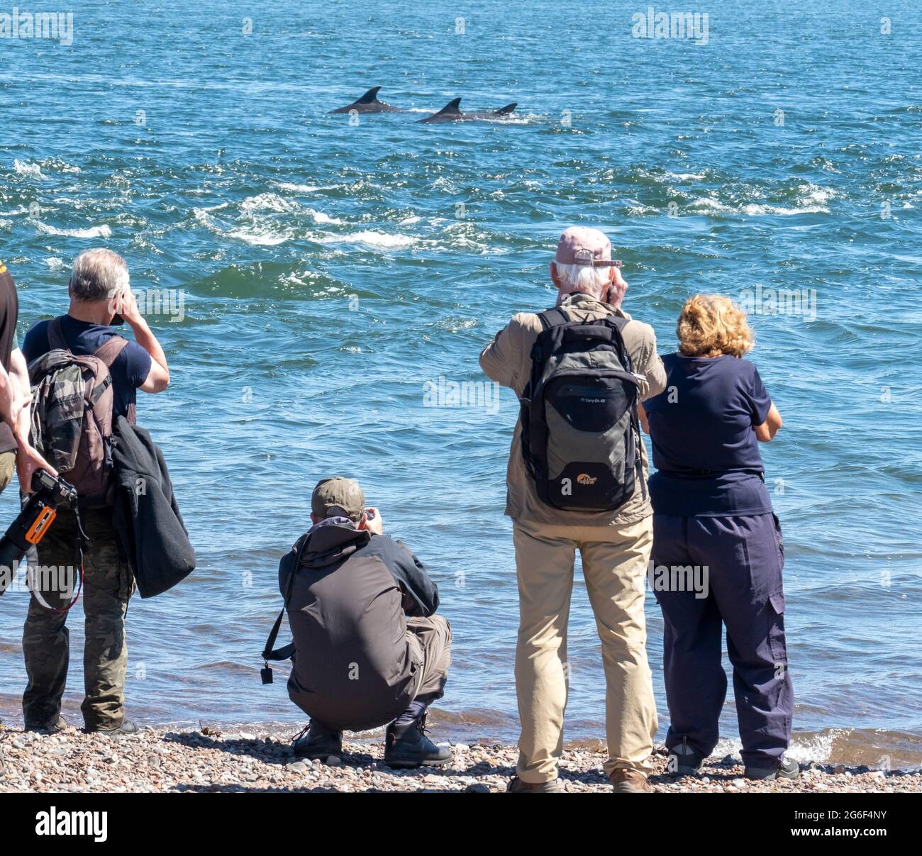 Crowds watch a pod of Dolphins in the waters of the Moray Firth at Chanonry point, Fortrose, Scotland, UK. Stock Photo