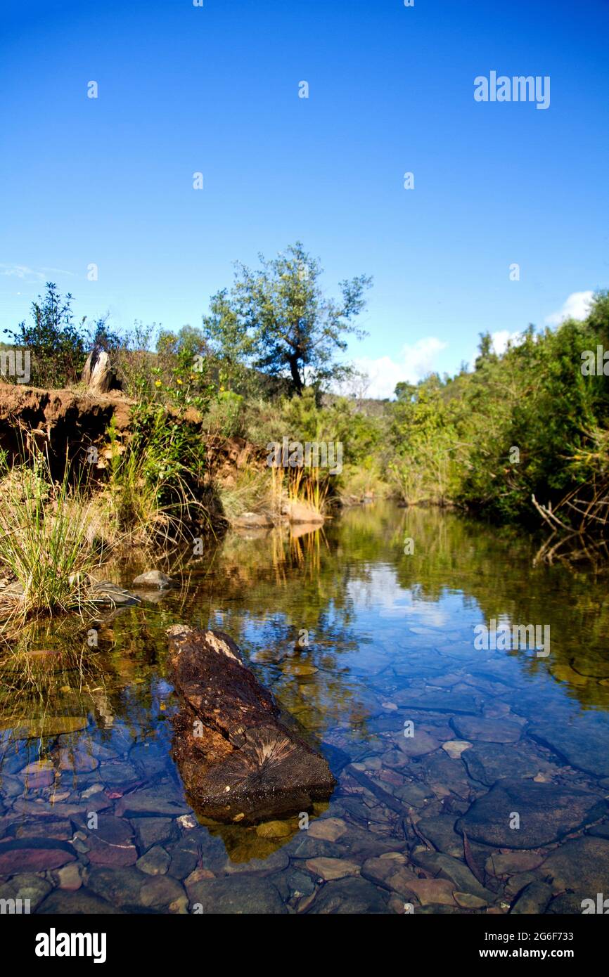 View of the beautiful forest river in the Algarve. Stock Photo