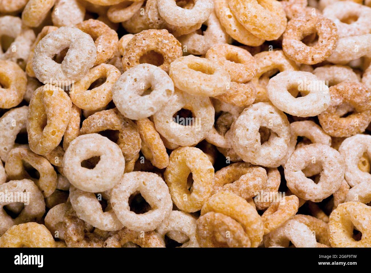 Close up view of many donut shaped cereals on a bowl Stock Photo Alamy