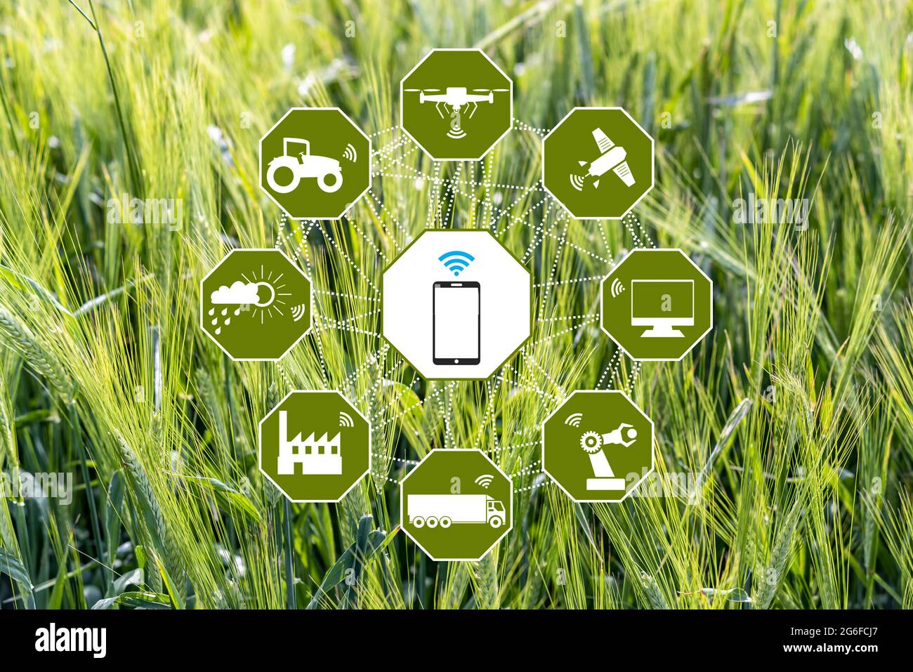 Wi-fi sign and smart agricultural technologies for farming in a green  background Stock Photo - Alamy