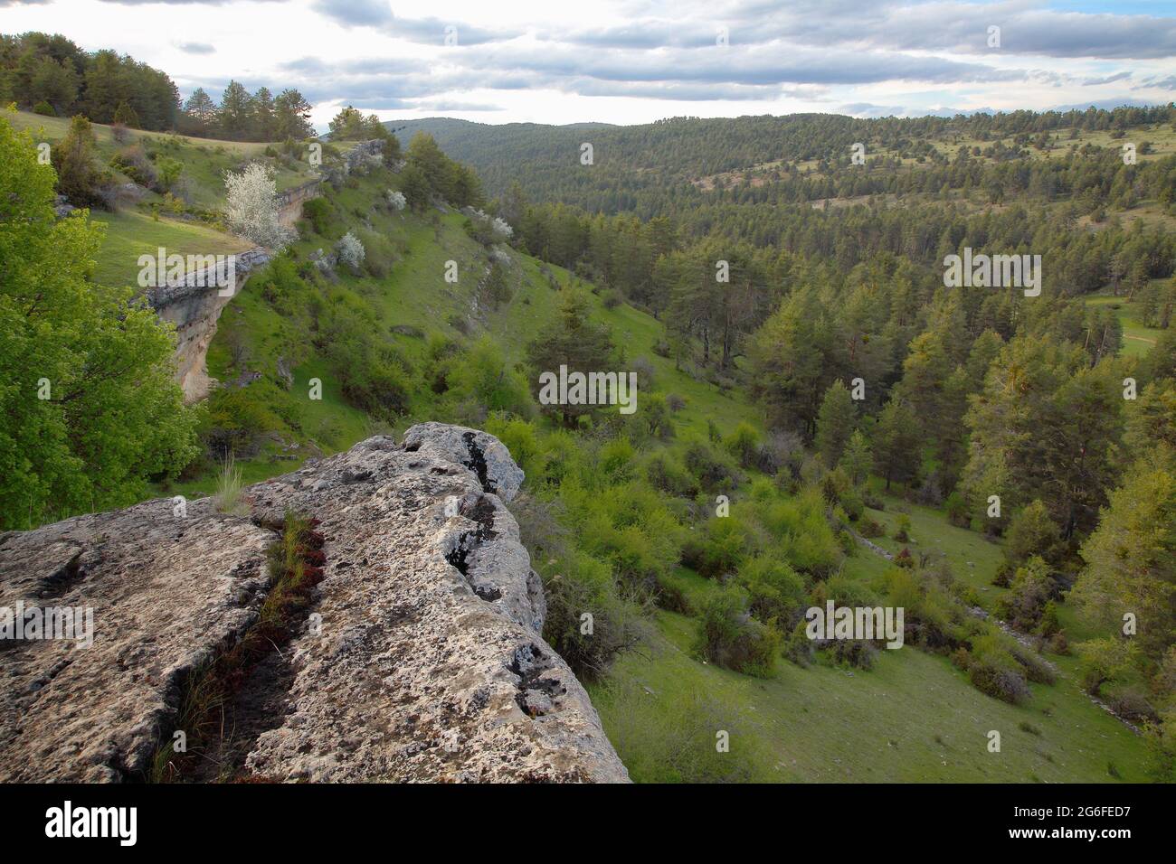 The Maíllo valley in the Sierra de Cuenca natural park Stock Photo - Alamy