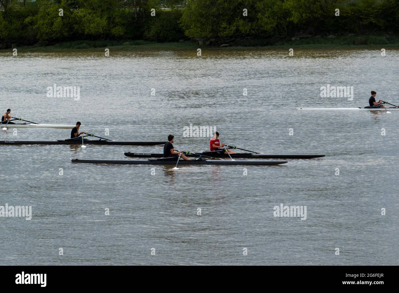 Competitive rowers on the Fraser River in Richmond, BC, Canada. Stock Photo