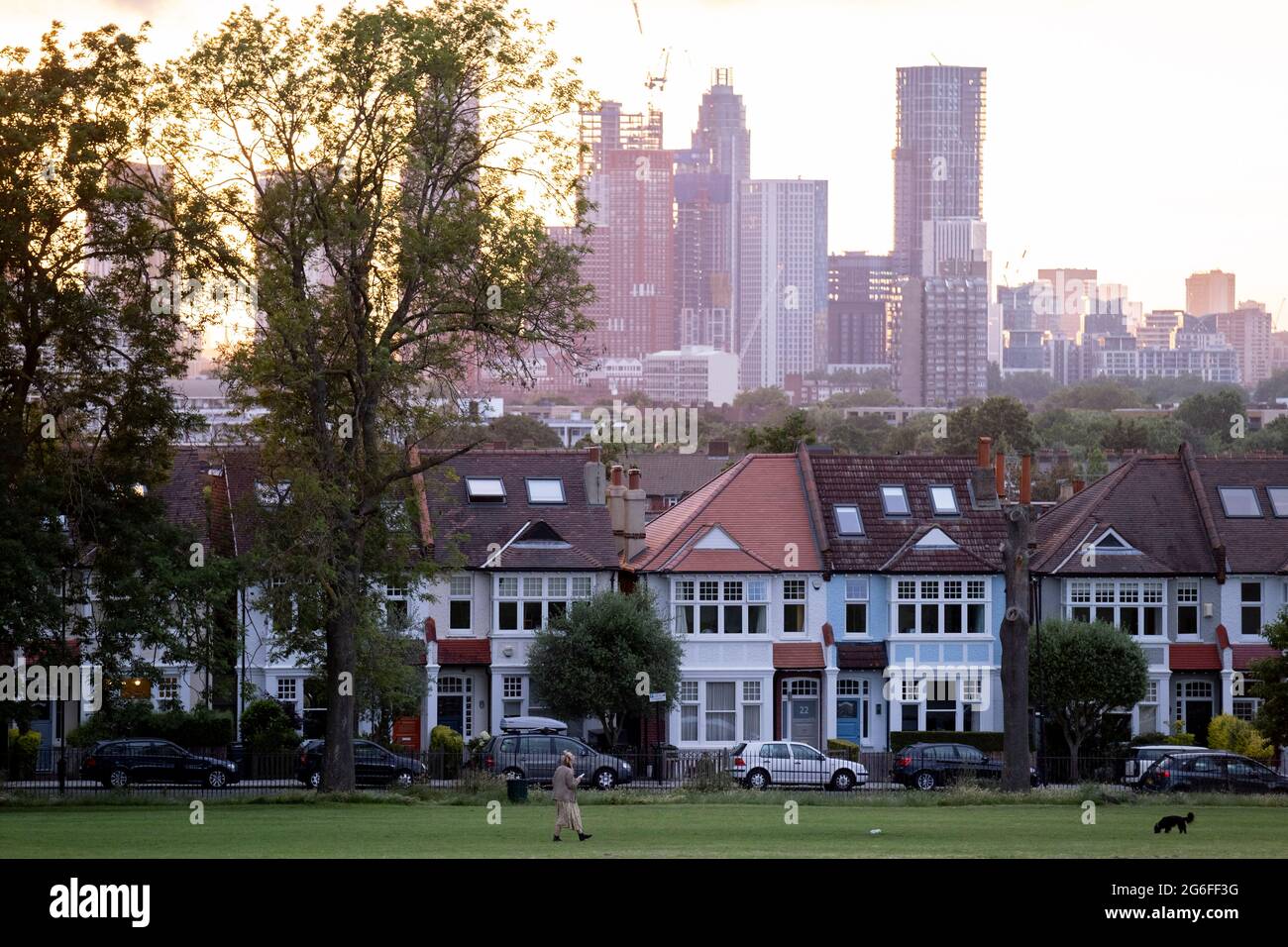 Residential high-rise towers in the distant metropolis and a setting sun behind the ash trees that form one side of Ruskin Park in Lambeth, on 4th July 2021, in London, England. Stock Photo