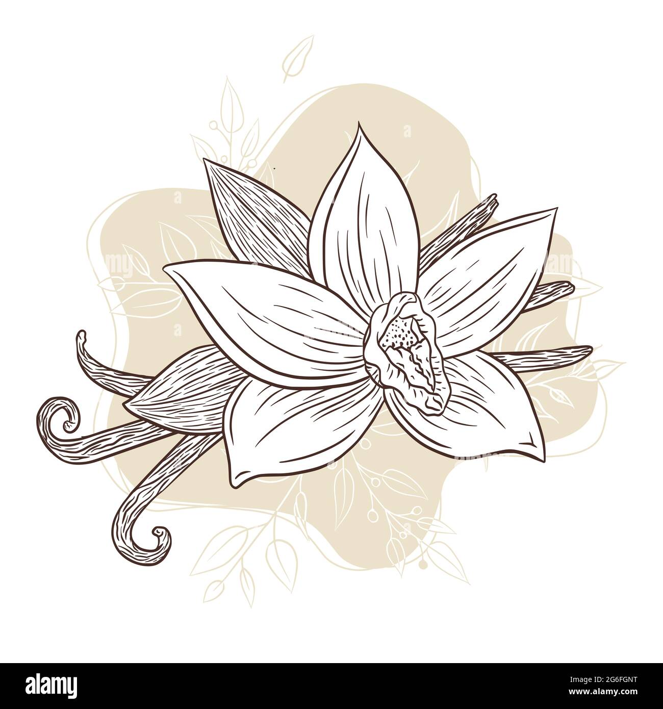 Với hoa vanila và que vanila vẽ tay trên nền động rối kiểu trừu tượng, bạn sẽ nhận thấy rằng tình yêu đối với nghệ thuật thật sự là không giới hạn. Hãy xem những bức tranh tuyệt đẹp này và hòa mình vào thế giới nghệ thuật đầy phong phú và đa dạng này.