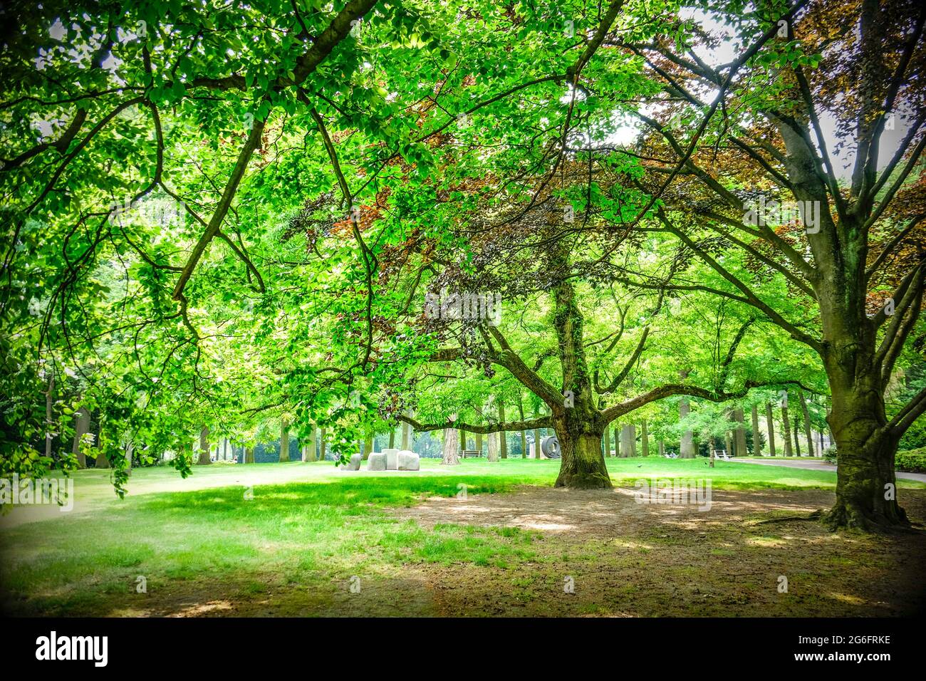 Pittoresk park in Holland, Europe. Stock Photo