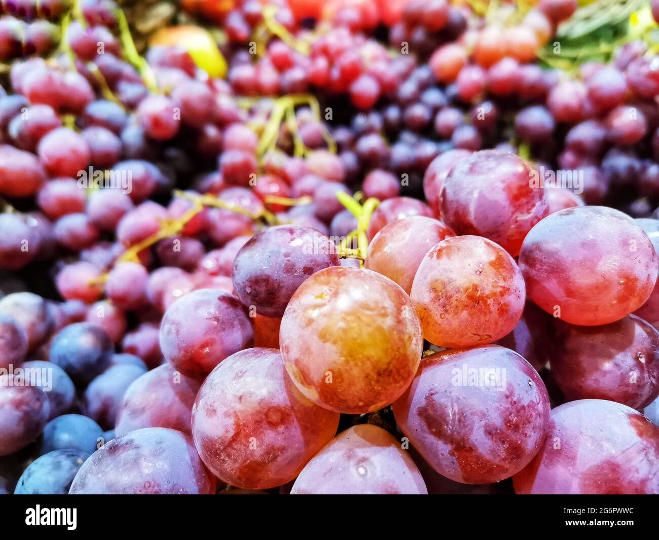 Black grapes. Fruit. Fresh and organic fruit Stock Photo Alamy