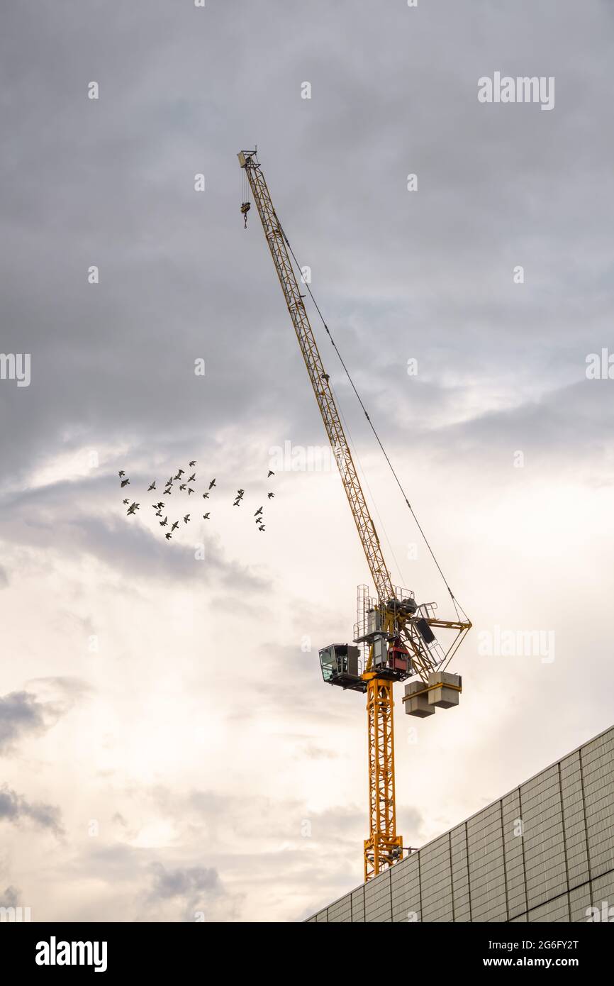 Tall yellow construction tower crane at sunset with flock of birds flying by. Work stopped dramatic sky clouds cables and lifting hook building site Stock Photo
