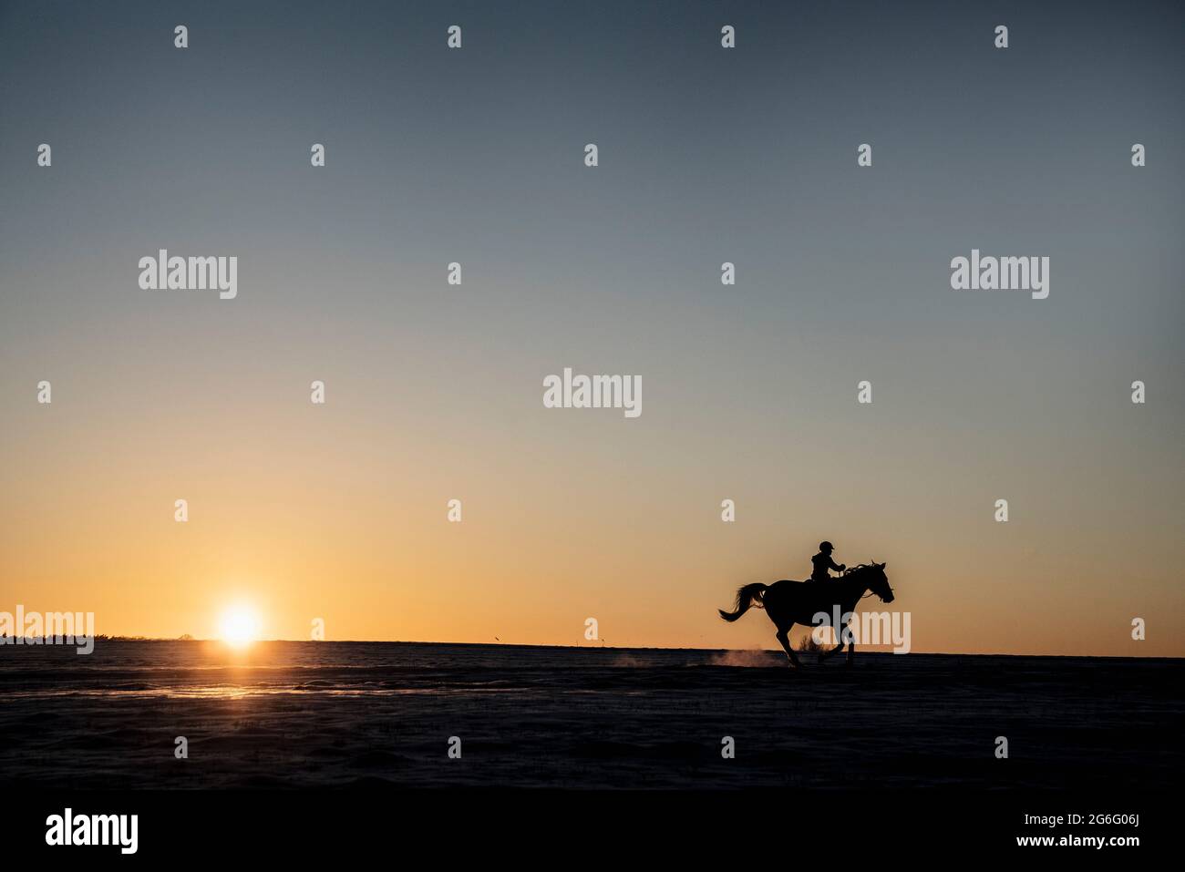 Silhouette girl riding horse in sunset field Stock Photo - Alamy