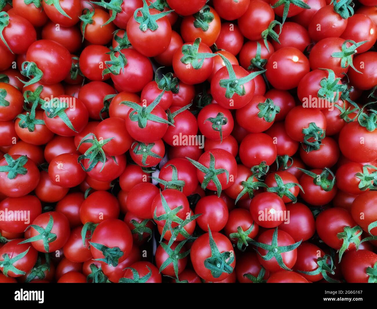 Tomatoes. Tomatoes on the market aisle Stock Photo - Alamy