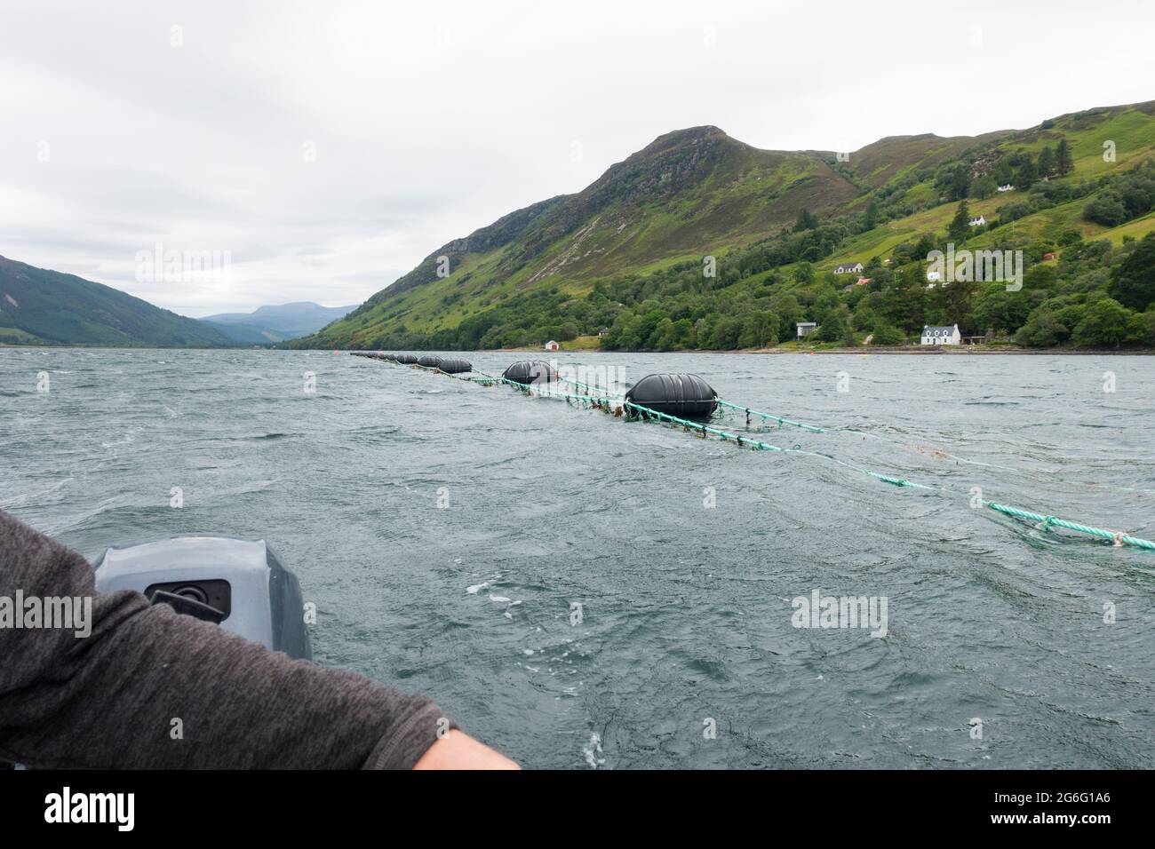 Mussel farm hi-res stock photography and images - Alamy