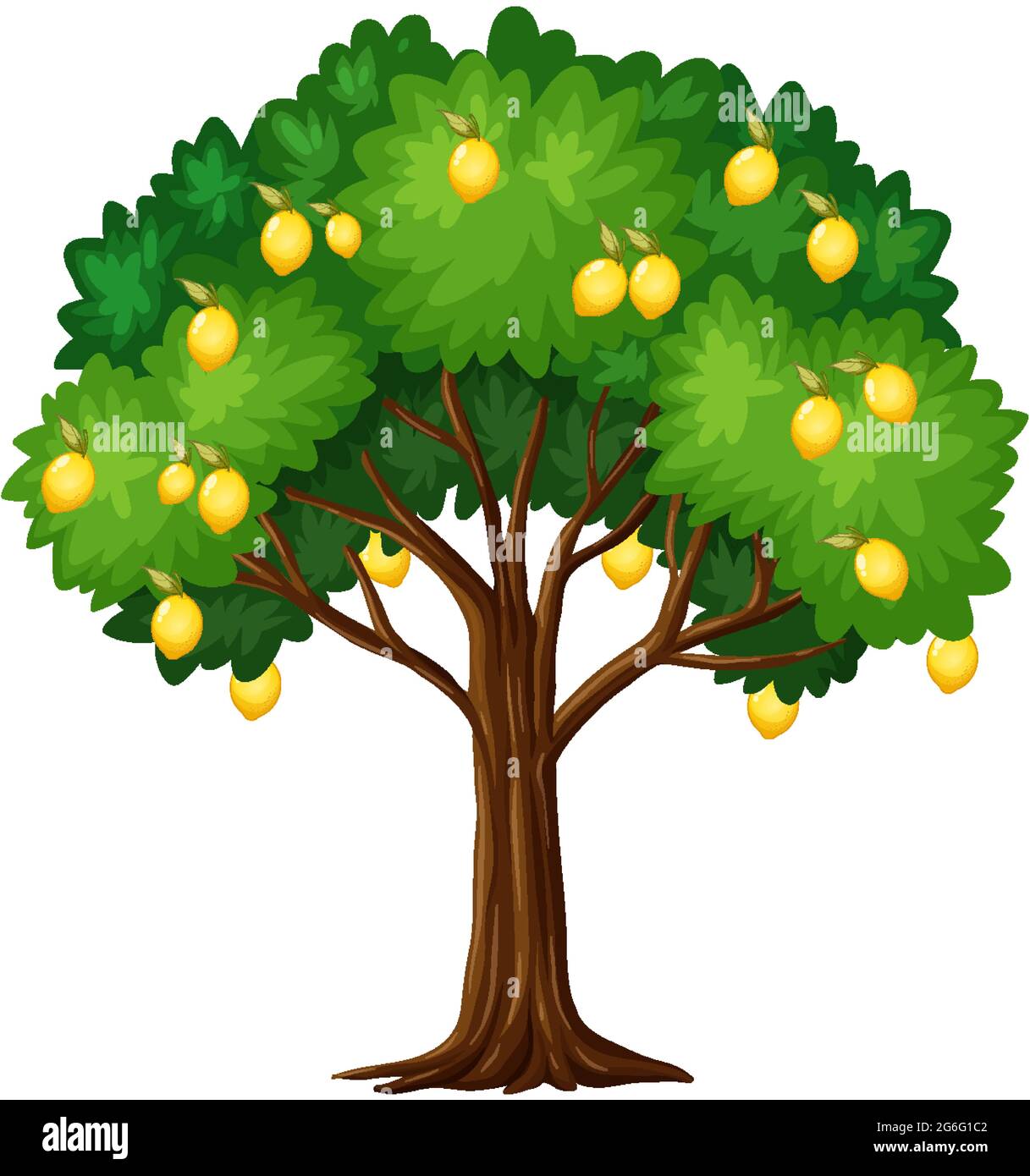 Lemon tree isolated on white background illustration Stock Vector Image ...