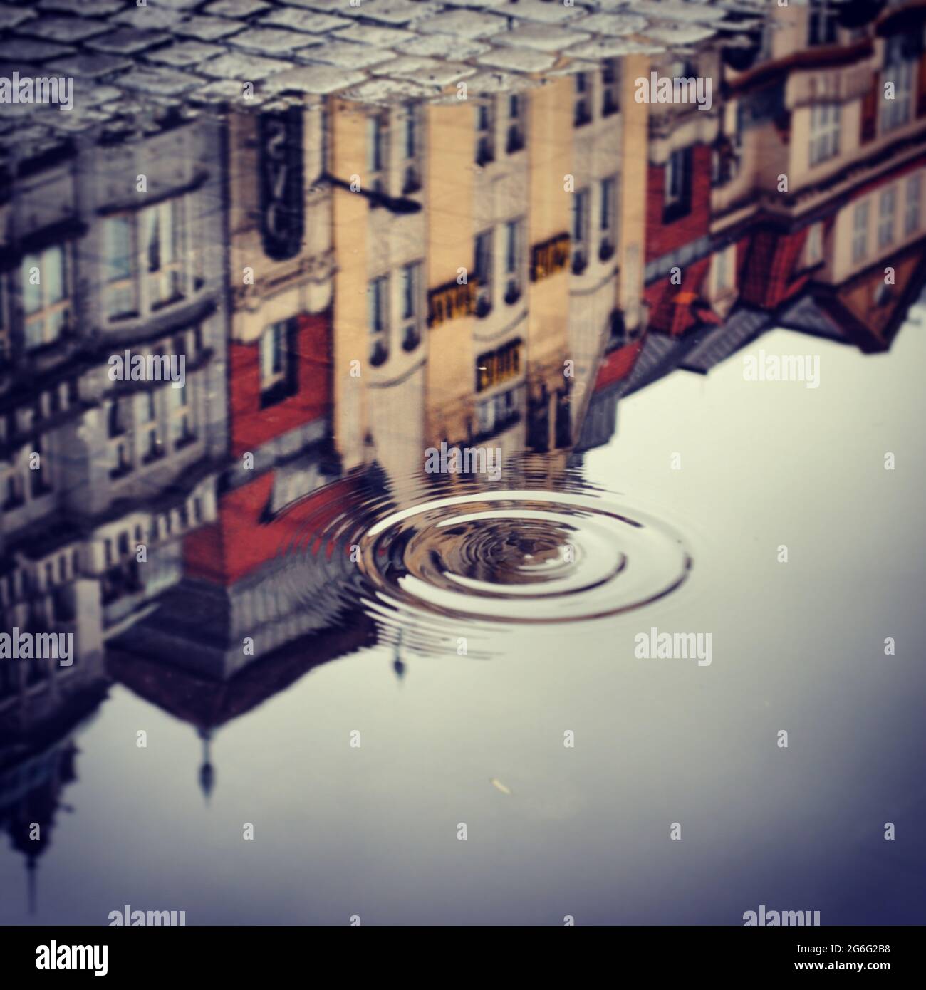 Reflection in the streets. Reflection after rain. Prague streets Stock ...